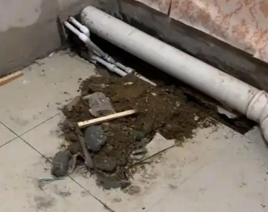 麻江卫生间漏水检测哪家好